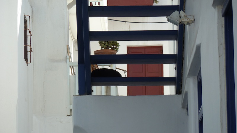 Mykonos cat 9.JPG